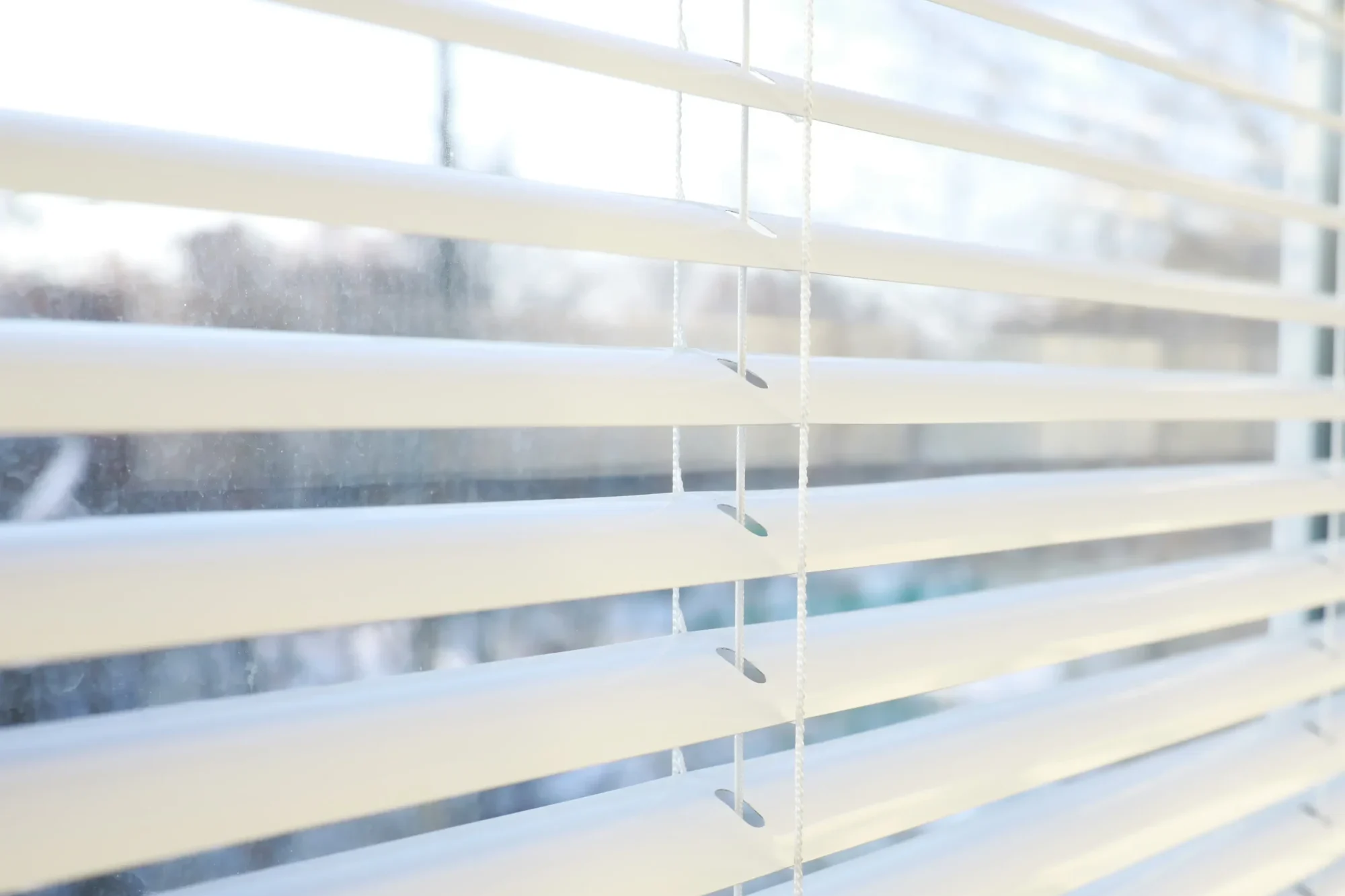 fenster-3-scaled-e1765883038742